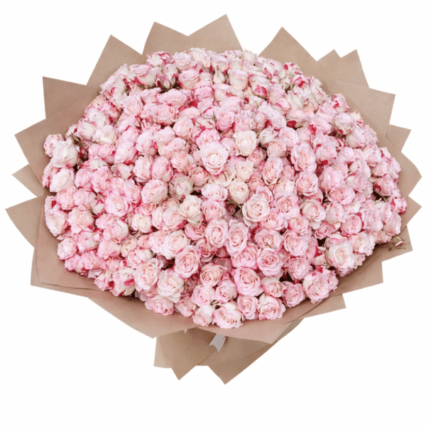 Спрей роза 101 ветка