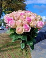 Розовые розы 35 шт вид сверху