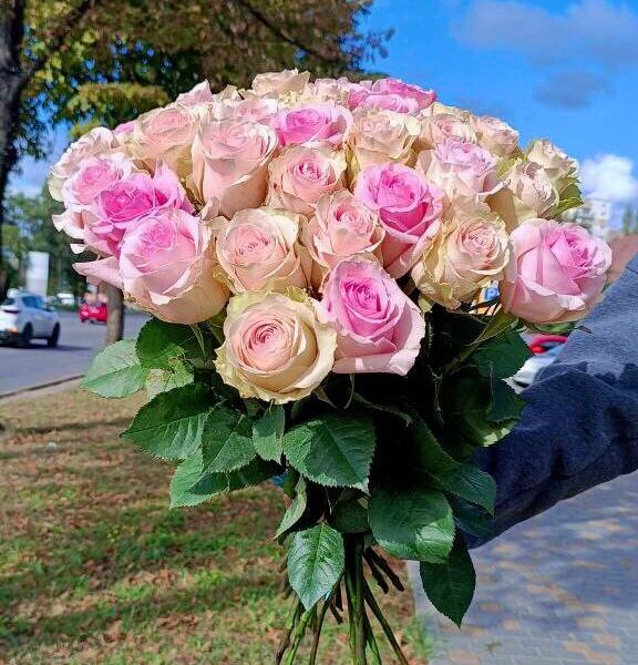 Розовые розы 35 шт вид сверху