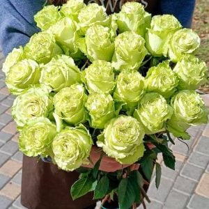 25 штук Зеленых роз