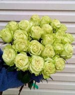 25 шт Зеленых роз вид сверху