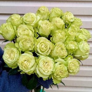 25 шт Зеленых роз вид сверху