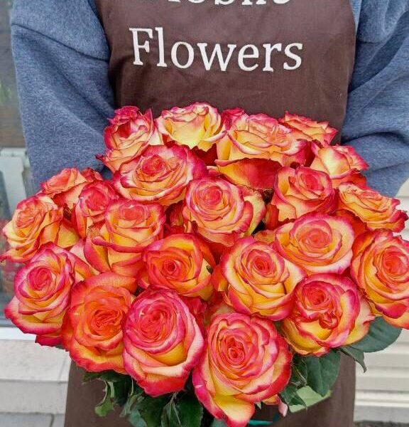 Роза Хай Меджик 25 веток