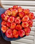 Роза Хай Меджик 25 вид сверху