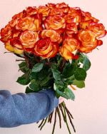 Роза Хай Меджик 25 шт