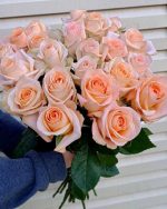 25 штук персиковых роз вид сверху