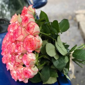 Роза Джумилия 25 шт
