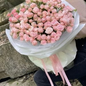 Бомбастик спрей 41 ветка