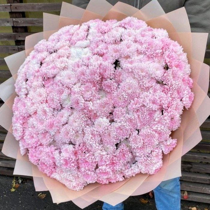Розовая хризантема 51 шт