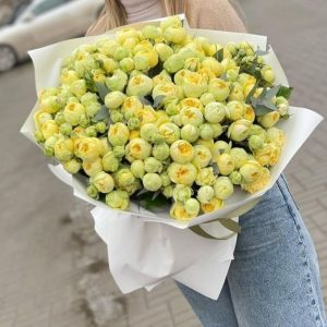 Пиони баблз спрей 51 ветка