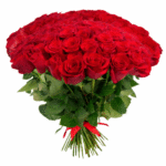 51шт красная роза Эквадор