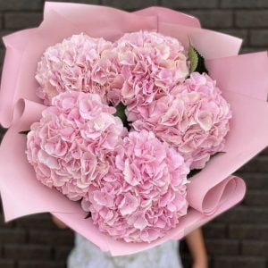 Розовая гортензия 5штук