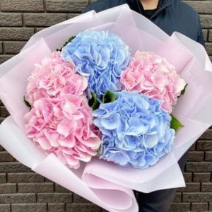 Розовая и синяя гортензия 5штук