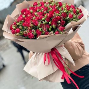 Ред Ванесса спрей роза 61 ветка