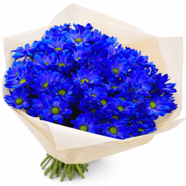 Синие ромашки 15 веток