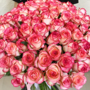 101 розовая роза Джумиля