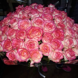 101 розовая роза Джумиля вид сверху