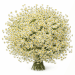 Букет «Элегантная гармония»