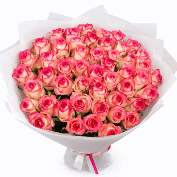 51 роза Джумилия