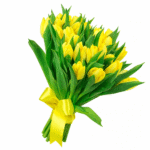 Букет жовтих тюльпанів з бантом