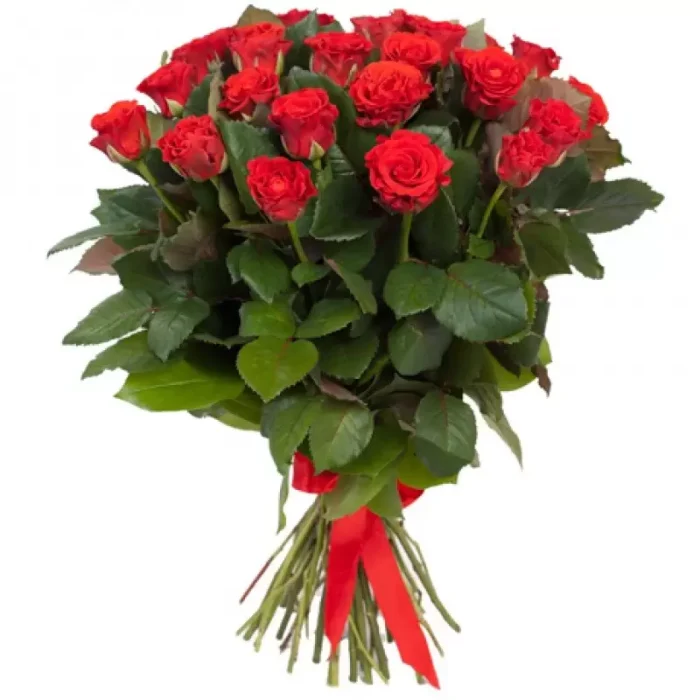 Красная роза Эльторо 35 штук