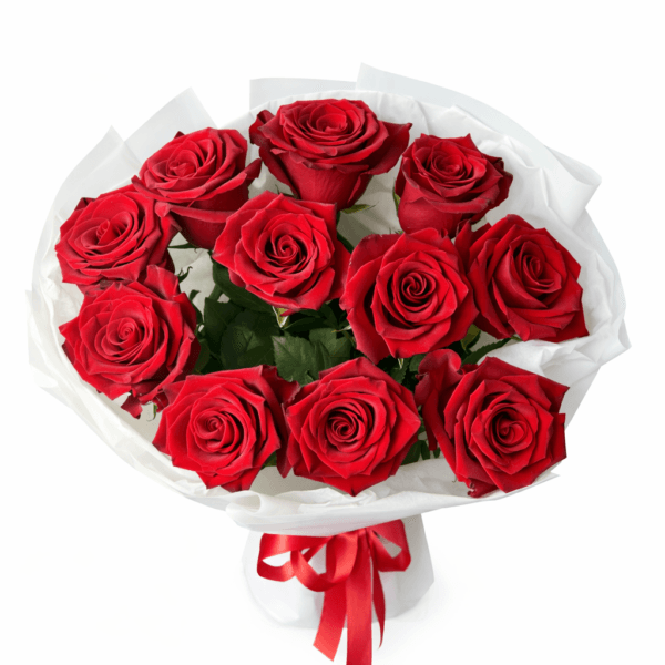 Красные розы Эквадор 11 шт