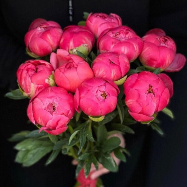 Букет пионов «Розовая магия»