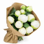 «Белые Бутоны» букет из 11 пионов