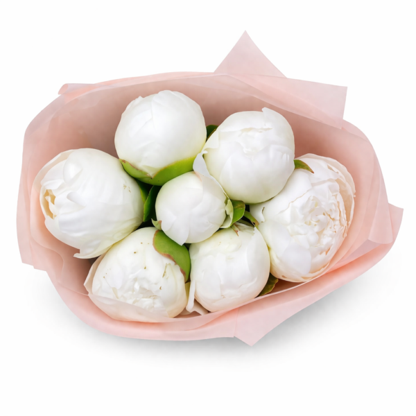 Букет пионов «Белая Нежность»