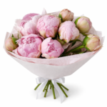 Букет пионов «Розовый Шелк»