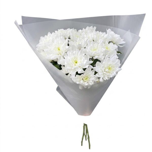Букет из 3 веток белой хризантемы «Снежная классика»