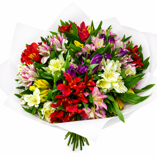 Букет из разноцветных альстромерий 25 шт