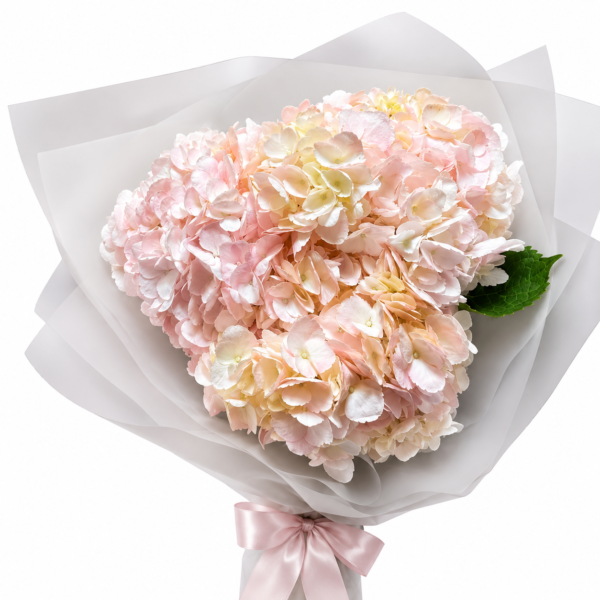 🌸 Премиум-букет «Розовая гортензия (XL)»: 3 королевских соцветия